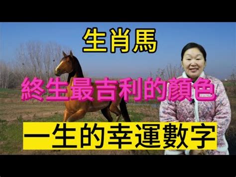 屬馬幸運數字|最全面！十二生肖屬性幸運數字和幸運色都在這了